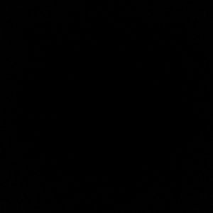 Meet your Posher, Pat